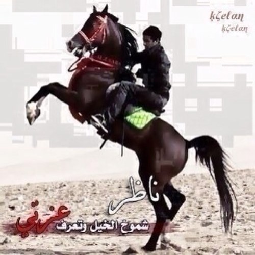 المقفي اقفي عنه لو كان غالي/ يرخص ولو هو عندي اغلا من العين/