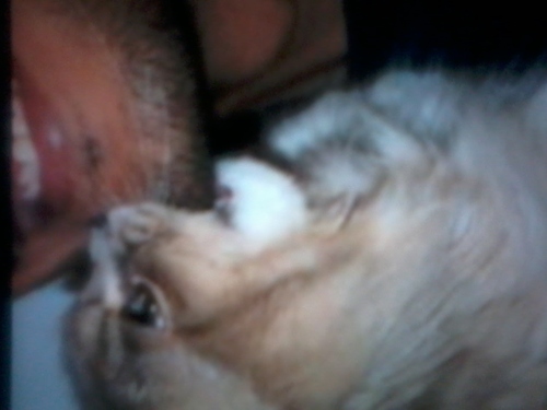 beeto8M's profile picture. 