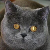 Kame Ron Diaz(San Diego出身) (@kamesan1959) 's Twitter Profile Photo Kame Ron Diaz(San Diego出身) (@kamesan1959) 's Twitter Profile Photo