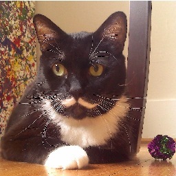 billfurray's profile picture. Hallo, my name is Bill Furray!
http://t.co/1AI7JaRgyu
http://t.co/E2vbB1mI14