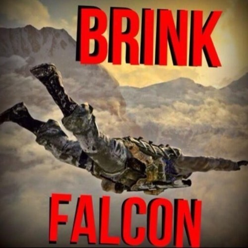 I am a member of the call of duty BRINK sniping clan we trickshot and feed #clan