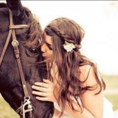 Saddleseat is my thing and morgans are my game 
Twitter brotherr: Ranch_Guy_