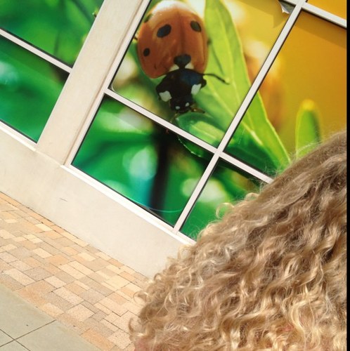 OnThaRocks_'s profile picture. 