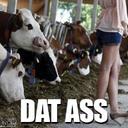 Ryan Bonner - @ProfLongJohn - Twitter