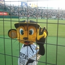 まさとら (@0101_tigers) Twitter