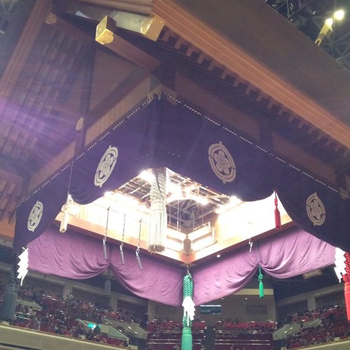 yamamamamama00's profile picture. 相撲、猫、ブーツ、https://t.co/fwhg2mHXjp、社会保険労務士、江頭2:50、車椅子バスケ、カーリング、コロナは茶番、同調圧力が嫌い、