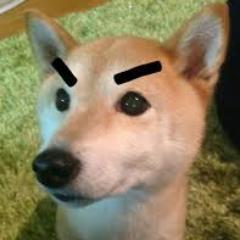 どんどん友達になって”輪”を広げていきましょう！
面白そうな人には積極的に絡みに行くと思うので、その時は「誰だこいつ？」なんて言わないでサクッとフォローしてもらえるとうれしいです(^o^)丿