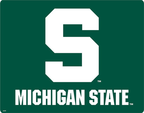 EVERYTHING MSU