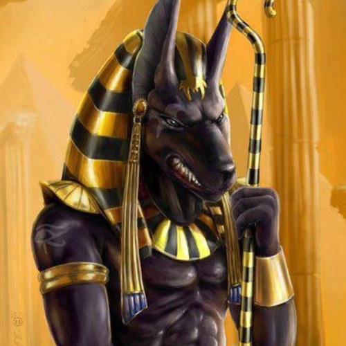 ClinicGlass's profile picture. 