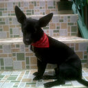 Janeth Osorio - @Lirioseven - Twitter