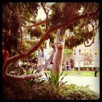 School of Culture and Communication @ UniMelb (@scc_unimelb) 's Twitter Profile