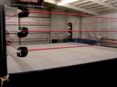 Twitter account made to discuss the past, present & future of professional wrestling!