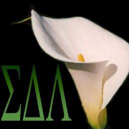 Executive Cabinet
Director of Collegiate Affairs 
*Account for Sisters Only*