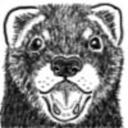 Robert Southers - @eson1972 - Twitter