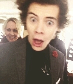 follow @heismyharold, please she follow back go and follow @heismyharold please, she follow back FOLLOW @HEISMYHAROLD