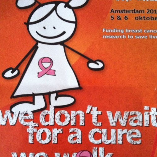 Steun Team Leusden bij de Sister's Hope 60K Walk Amsterdam 2013!