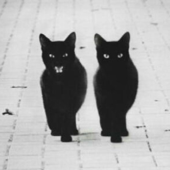 Asma_faiah's profile picture. 