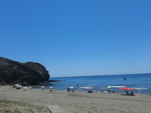 trigace33's profile picture. 