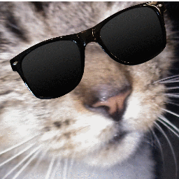 HelloExur's profile picture. Fan of Blink-182, Descendents, Green Day, Rancid, NOFX, Pennywise, punk rock in general, and enjoys all kinds of music.