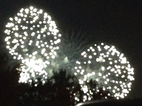 mom2monkeys1's profile picture. former cheer mom, law clerk