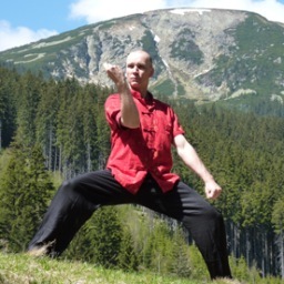 PavelCodlTaiji's profile picture. Pavel Codl - učitel a fanatik Taiji - šéf Taiji Školy Praktická metoda v Praze