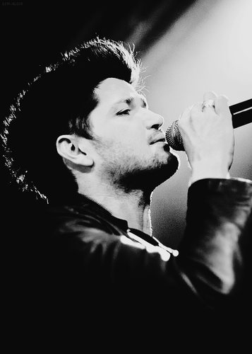 TS1D03's profile picture.