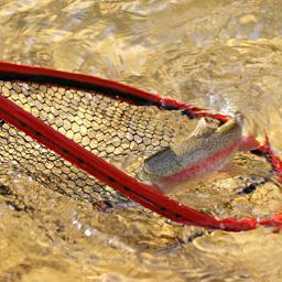 NetStaff is a multi faceted fishing apparatus incorporating a fishing net, wading staff and retrieval hook combined into one device.