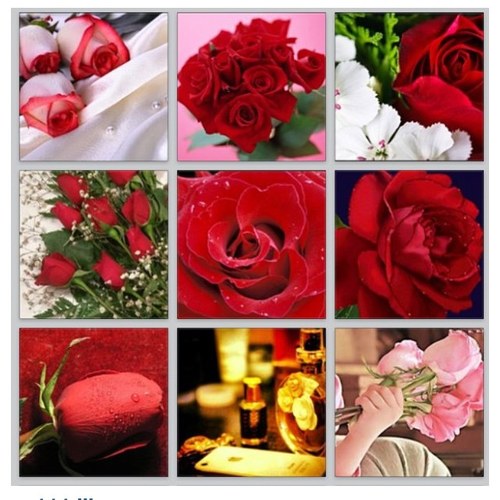 RoroAlomreny's profile picture. 