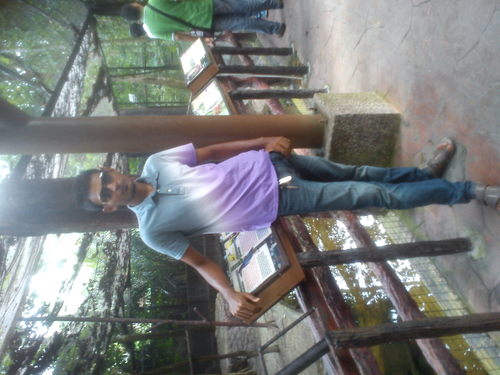 ijat