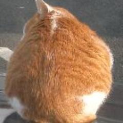 音楽とか聞くのが好きなオヤジです... ジャンルというか、いろいろ偏っていますが(^^; 
ゲームの話題を書くつもりがいろいろ思いつくまま書き込んでるような感じですねー

フォローせずにハッシュタグでつぶやきを追ってる、Twitterの使い方を間違ってる人です。フォローしてくださってるみなさま、ありがとうございます…