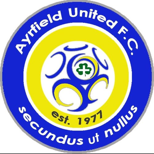 Official Twitter of Ayrfield United Football Club. Dublin, Ireland 🇮🇪. Updates Here On Match days. #WeAreAyrfield 💛💙
