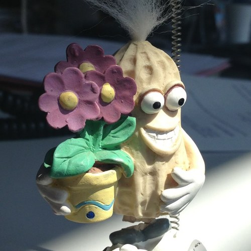 EZ_Oost's profile picture. 