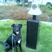 John Lequin (@jlequinff48) 's Twitter Profile