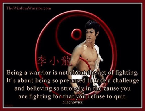 4th Dan Taekwondo, CAWCL1, CFL-1, CrossFit Football, Wrestler Dad!, former Dog Handler, BJJ practitioner, MMA Gym Owner.