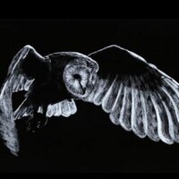 Kevin Bell (@mrkbellteacher) 's Twitter Profile Photo