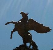 Ignasi_Domingo's profile picture. A Human Being