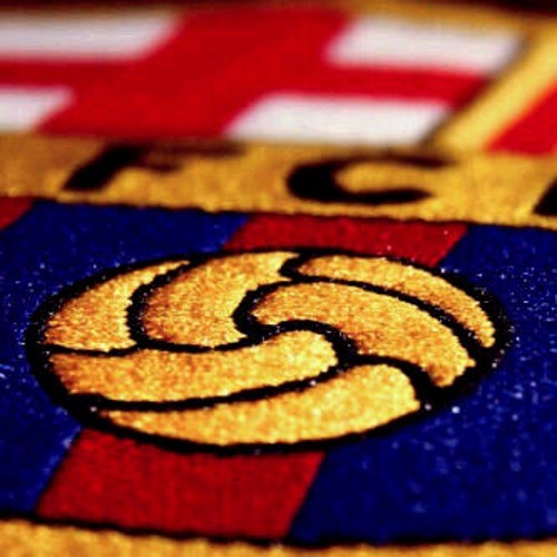 broky17's profile picture. ''