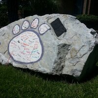 Codington (@codingtones) 's Twitter Profile