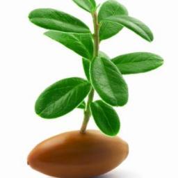 StartupCoIombia's profile picture. Emprendimiento Colombia. ¡SÍGUENOS YA!.