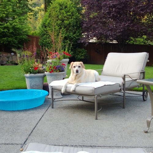 micheleschweize's profile picture. 