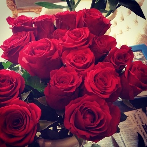 153memo's profile picture. Born in 31 of January 1995 ,student at #PNU .