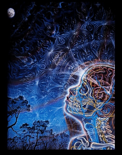 nohelp4pain's profile picture. 