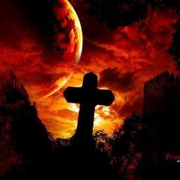 mrappi2's profile picture. 