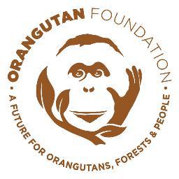 Orangutan Foundationさんのプロフィール画像