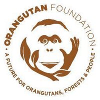 Orangutan Foundation(@OrangutanFndn) 's Twitter Profile Photo