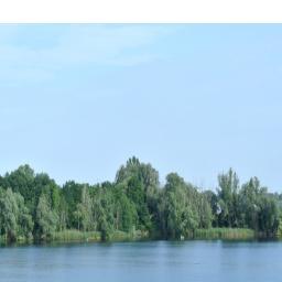 5n3x's profile picture. Student. Vegan. #science #education #computerscience #mathematics #nutrition #privacy #security #ethics 💉 💉 💉 💉 @snex@chaos.social