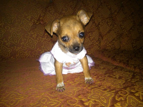 Hellow! i am funny and creative twitter today! Her Follow Me!