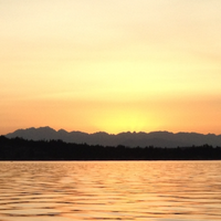 Light of Day Stories/Maureen McCauley (@lightofdaystory) Twitter profile photo