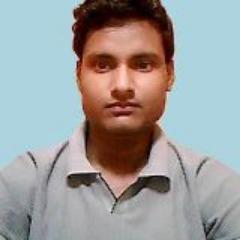 .NET Developer