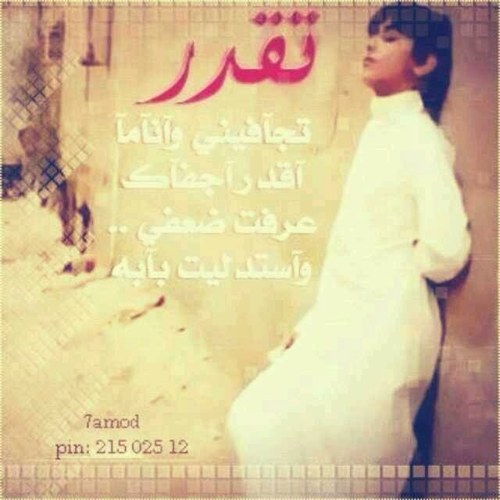 ahf331's profile picture. 